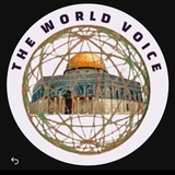 Telegram profile photo for World _voce2