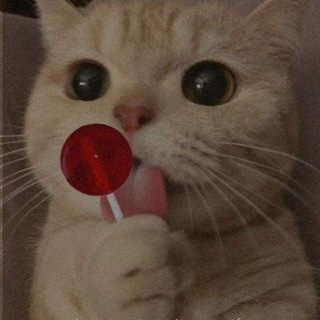 Telegram profile photo for • َ يومِياتَي ♡