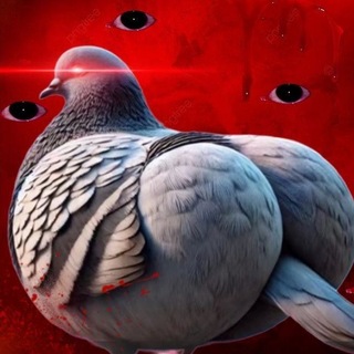 Telegram profile photo for The Grape Cathedral info