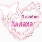 Telegram profile photo for адаптер скарадурин дейли