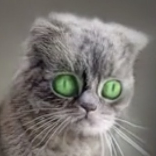 Telegram profile photo for DeepKek