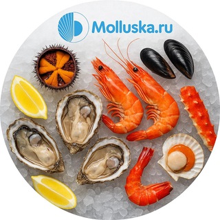Telegram group profile photo for Molluska.ru 🦪 Свежие морепродукты, готовые морские СЕТЫ с доставкой на ДОМ