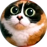 Telegram profile photo for Куки