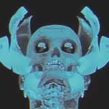 Telegram profile photo for omnium farrago