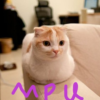 Telegram profile photo for 喵喵的理工大学(推送)