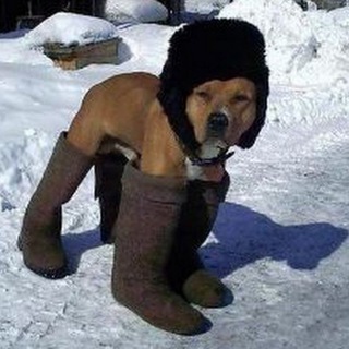 Telegram profile photo for Валенштерн