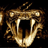Telegram profile photo for Gold Cobra CPA: News