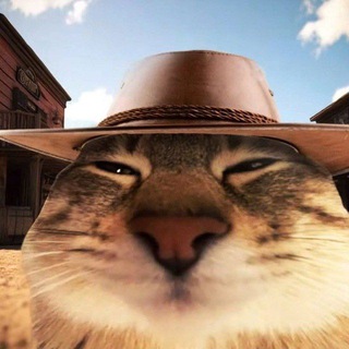 Telegram group profile photo for Discussion group(also off topic)
