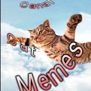 Telegram profile photo for 🐈 > CAT MEMES <🐈