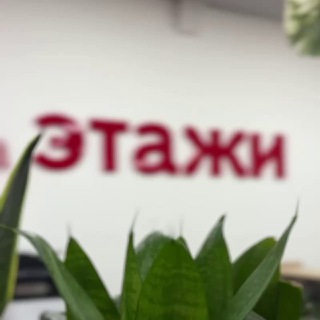 Telegram profile photo for Работа|Этажи| Ростов-на-Дону
