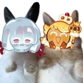 Telegram profile photo for 𝗟𝗜𝗙𝗘 𝗖𝗛𝗔𝗡𝗡𝗘𝗟 | hᴏly ᴄᴏᴏᴋiᴇs