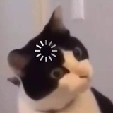 Telegram profile photo for Карандаш Машенька🧤