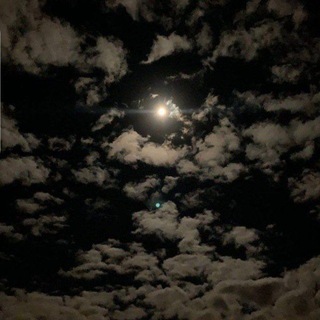 Telegram profile photo for Alone.