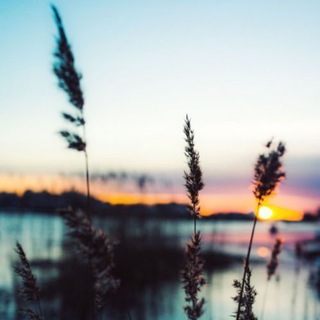 Telegram profile photo for الأرتقاء الى المنصه