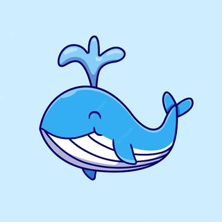 Telegram profile photo for BINANCE WHALES TRACKER 🐳