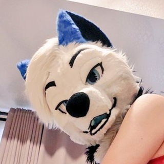 Telegram profile photo for Benji Maycher π