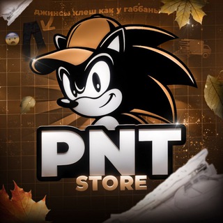Telegram profile photo for PNT STORE