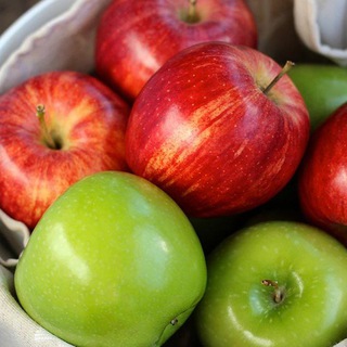 Telegram profile photo for 🍎أطيب طبخه🍏