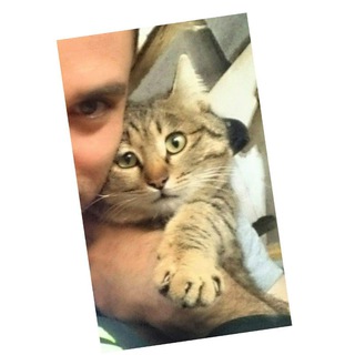 Telegram profile photo for دخترچی