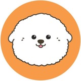 Telegram profile photo for Bichon Announcements