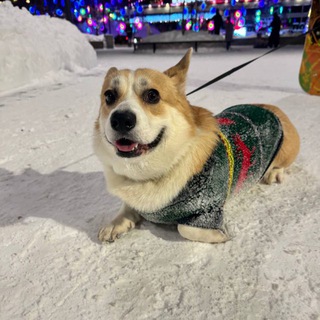 Telegram profile photo for Мемы 2026(бывш. «Мемы 2025(бывш. Мемы 2024(бывш. "Мемы 2023")»))