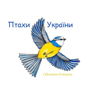 Telegram profile photo for Птахи України