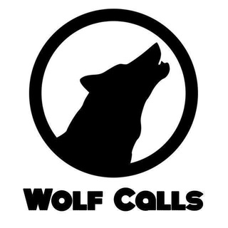 Telegram profile photo for WOLF CALLS OFFICAL BANKNIFTY 🏦