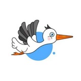 Telegram profile photo for 飞鸟云