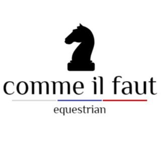 Telegram profile photo for 𝐂𝐨𝐦𝐦𝐞 𝐢𝐥 𝐟𝐚𝐮𝐭