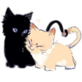 Telegram profile photo for 🐢🐑🐤🐣🐭🐰тваринки🐱🐶🐕🐈🐈⬛🐩