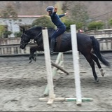 Telegram profile photo for Threе days of horse