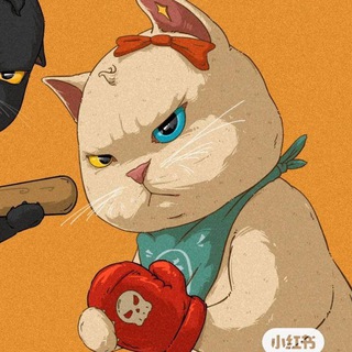Telegram profile photo for $CATS CARTEL Portal ππ« (SOL)