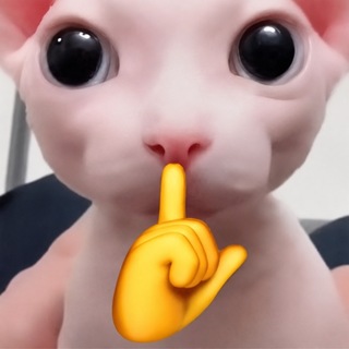 Telegram profile photo for Silent Cat - $SHH