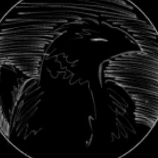 Telegram profile photo for K.artist 🐦⬛️