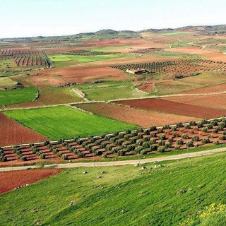 Telegram profile photo for AGRICULTURA GANADERÍA DE ESPAÑA
