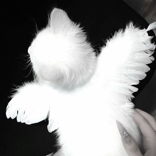 Telegram profile photo for solbiyaa