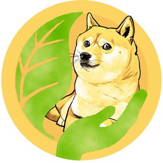 Telegram profile photo for Safe Doge Coin | SDC