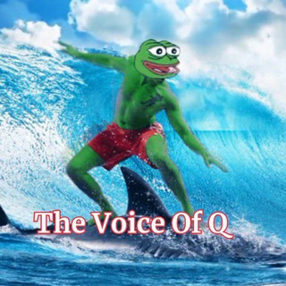 Telegram group profile photo for The Voice Of Q Chatroom