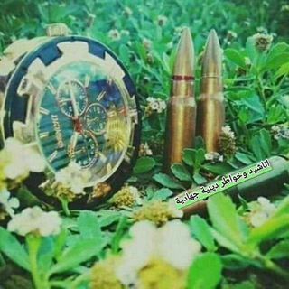 Telegram profile photo for أناشيد وخواطر دينية جهادية