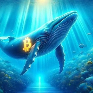 Telegram profile photo for 發財密码鲸🐳