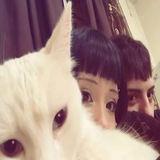 Telegram profile photo for Quiet