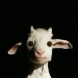 Telegram profile photo for путь к белому халату
