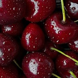 Telegram profile photo for ️𝒔𝒕𝒂𝒓𝒔|𝒄𝒉𝒆𝒓𝒓𝒚🍒