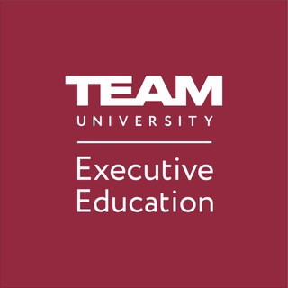 Telegram profile photo for TEAM Executive Education