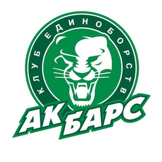 Telegram profile photo for Ак Барс Дворец Единоборств | Казань