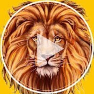 Telegram profile photo for Артём Абросимов | Арбитраж - Трафика