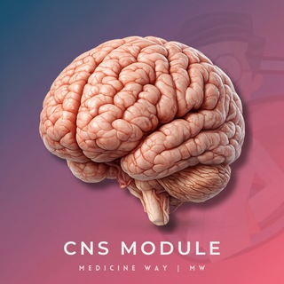 Telegram profile photo for CNS Module | MW