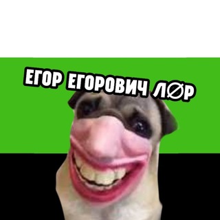 Telegram profile photo for егор егорович л∅р