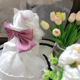 Telegram profile photo for استغفِرُ الله 💗.