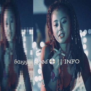 Telegram profile photo for ɓαӄӄᴇᴛ ϝɭᴏøɗ 💿 || I𐌽F𐌏